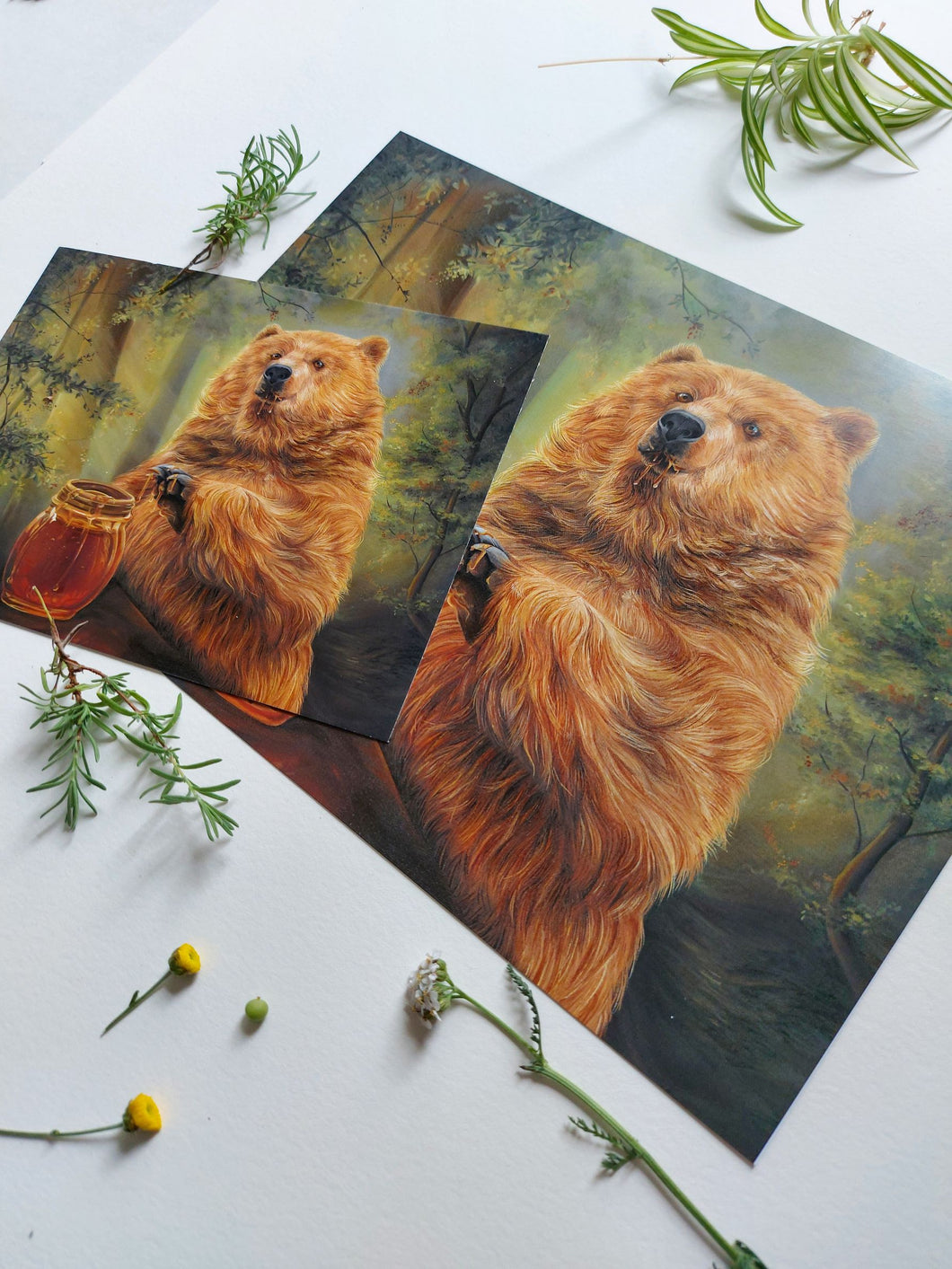 Hunny Bear - Art Print
