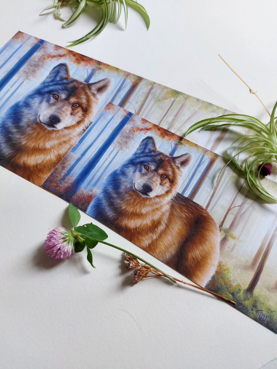 Wolf - Art Print